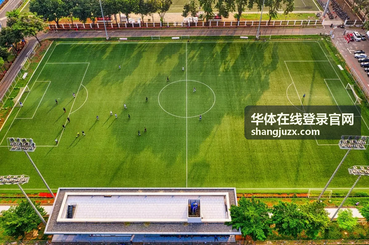 华体在线登录官网登录设备与网络确认示意