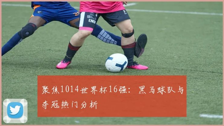 聚焦1014世界杯16强：黑马球队与夺冠热门分析