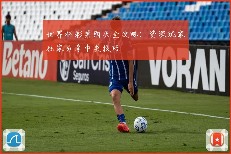 世界杯彩票购买全攻略：资深玩家独家分享中奖技巧